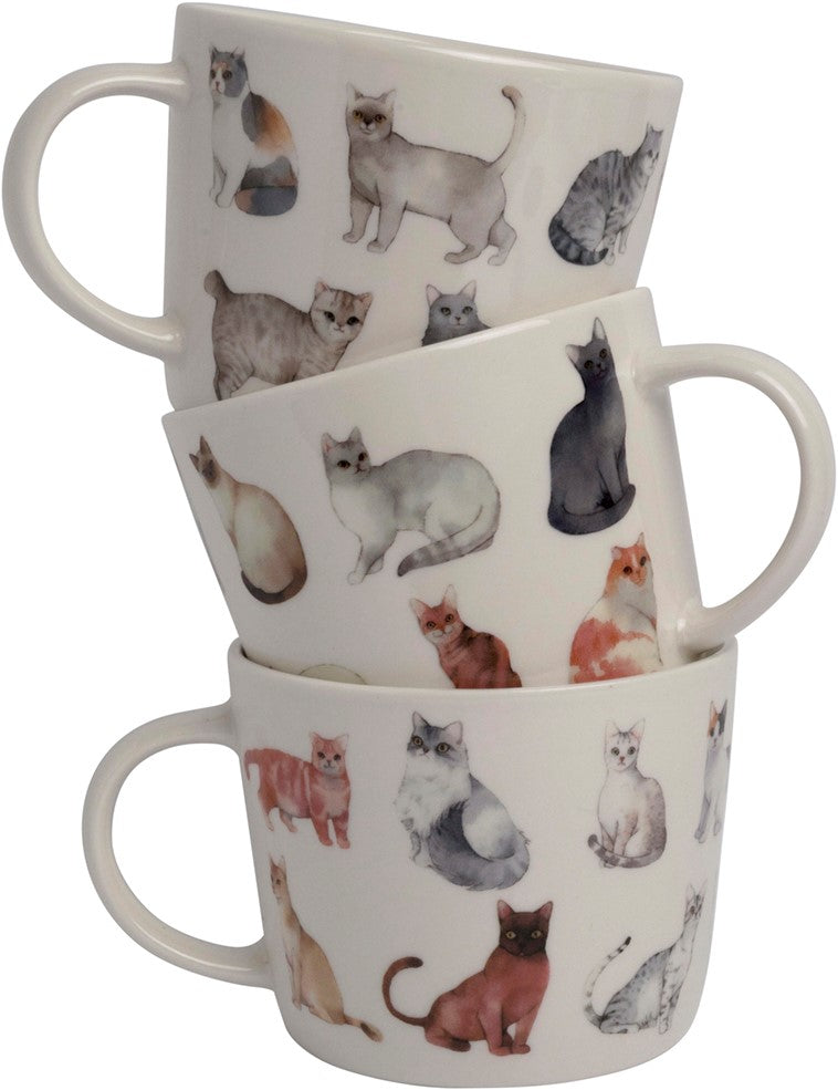 Dutch Floral Giftset 3 Cups Low Cats Color 32 cl.